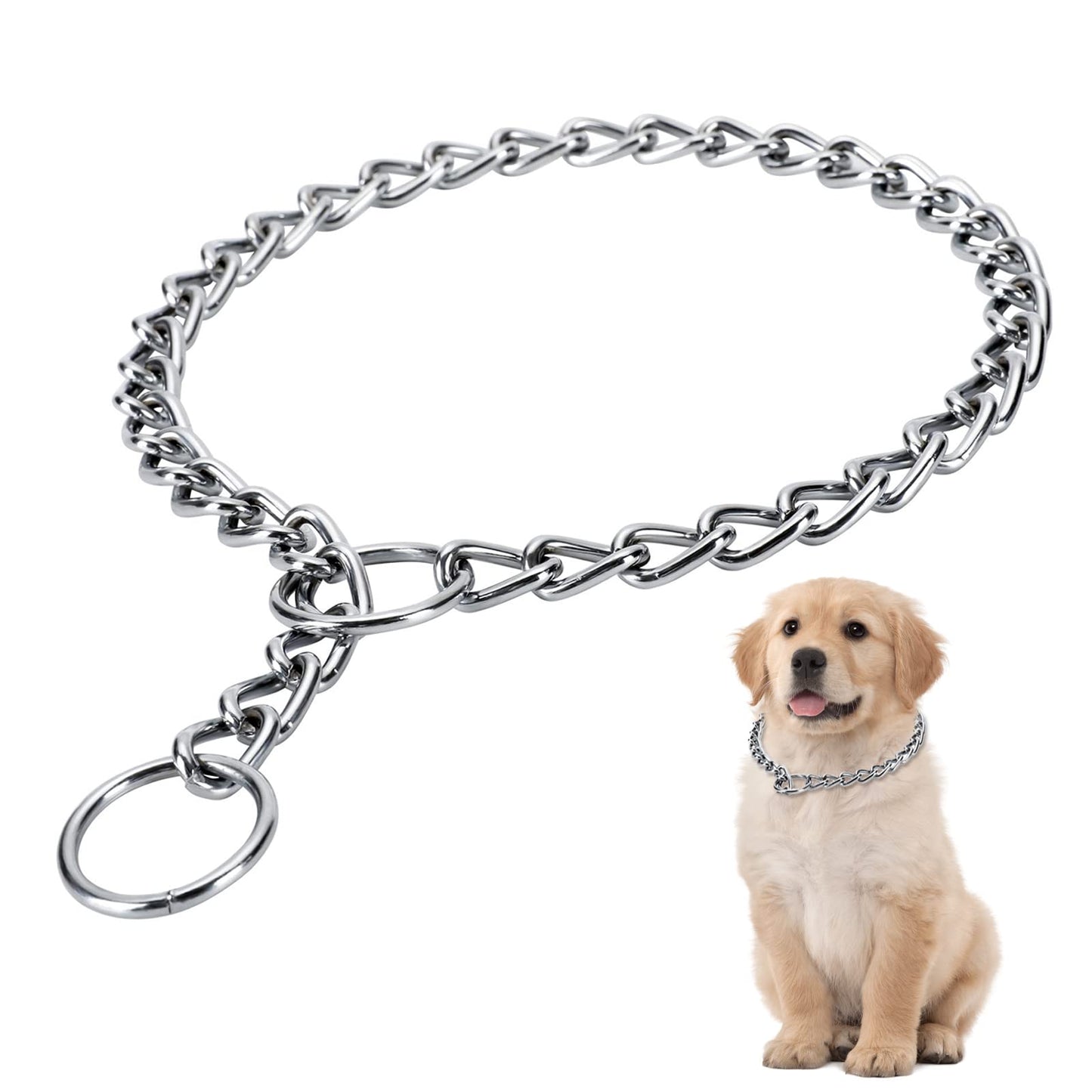 Dog chain short
