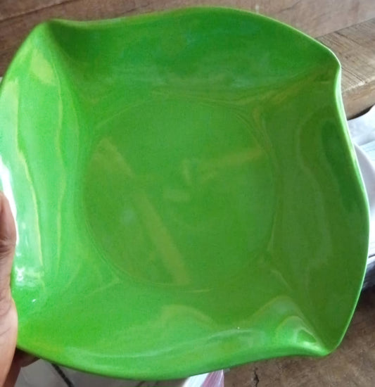 Unbreakable plate 2colour