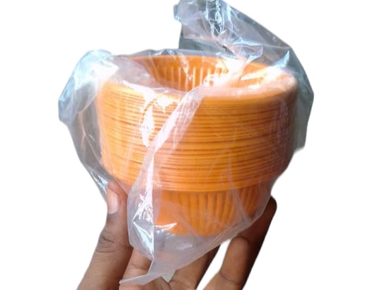 Small chops disposable plate medium