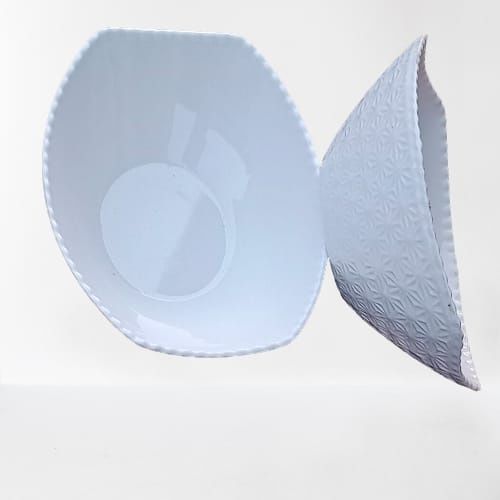 White bowl plate