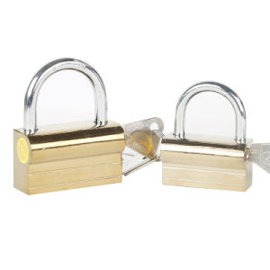 Dimmo padlock medium