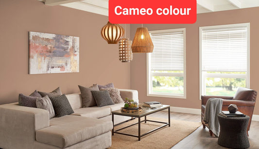 Cameo Paint emulsion 4litres