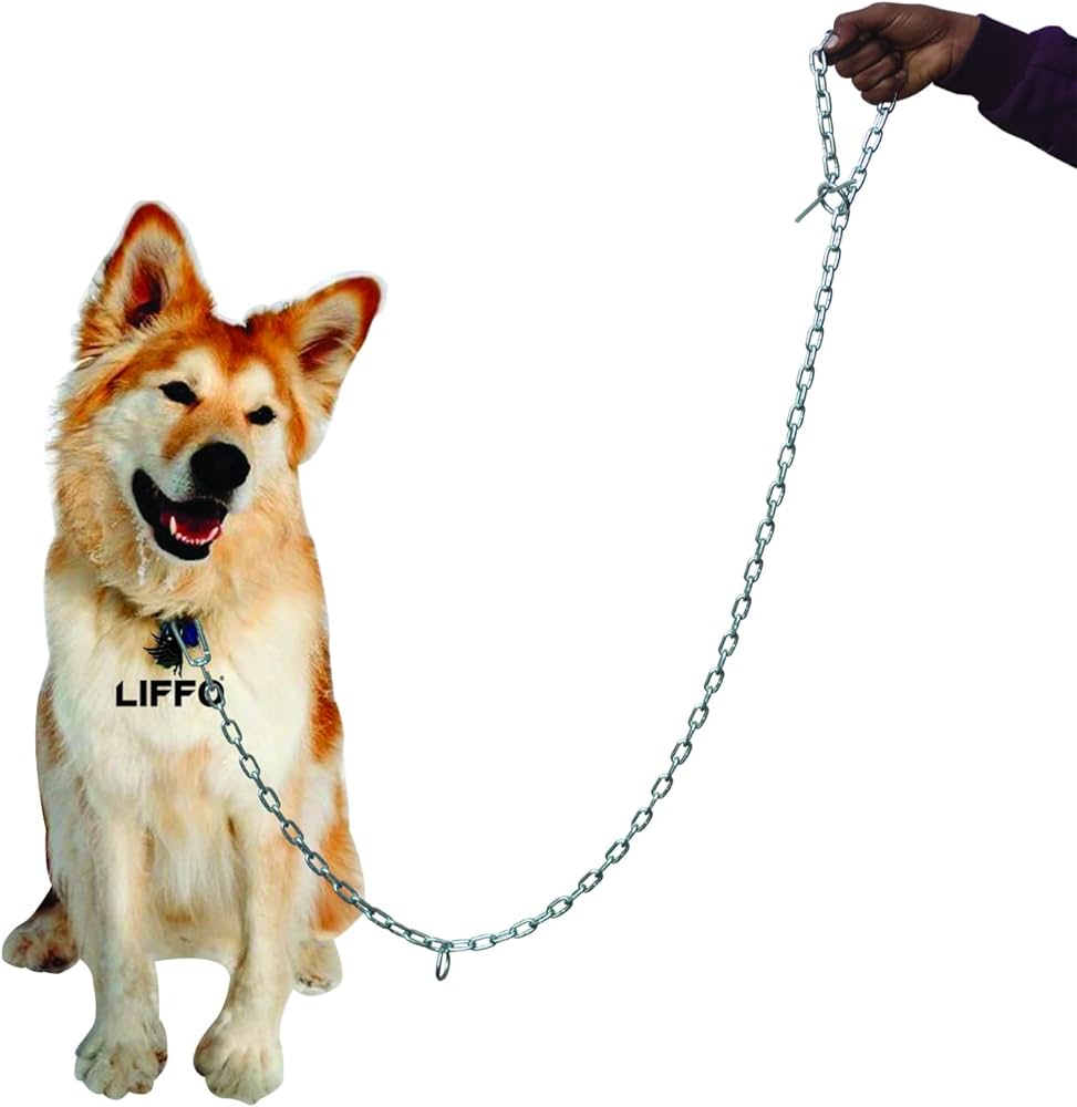 Dog chain long