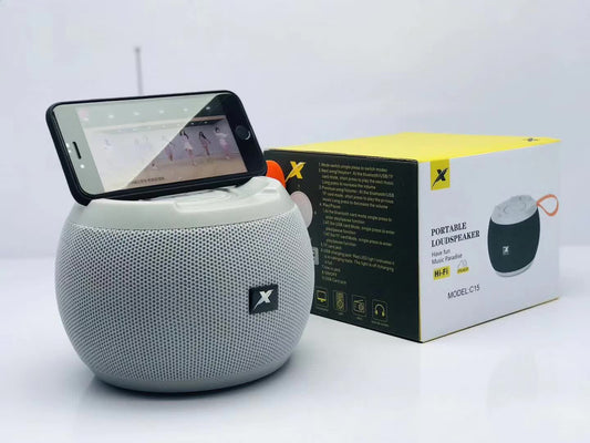 C15 potable speaker