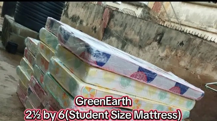 Green Earth Mattress 2½by6