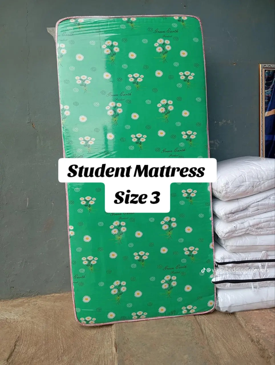 Green Earth Mattress 3by6