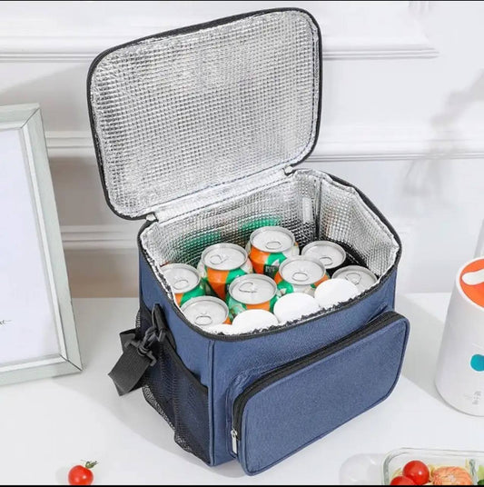Insulated lunch bag